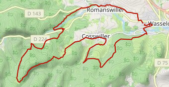 4. Circuit des 3 forestiers-17793130