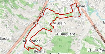 Pavie Trail Téléthon 2024
