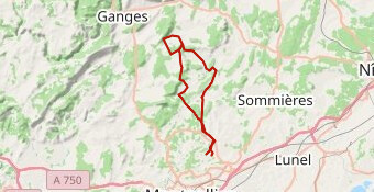 RASSEMBLEMENT POLE 15.12