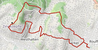 Trail de l'âne 2025