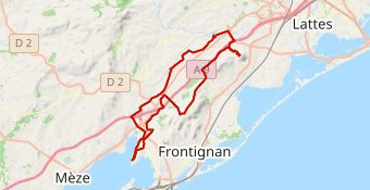 la forêt de la Gardiole