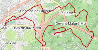 Marche 15km_Trail des terroirs vosgiens 2025