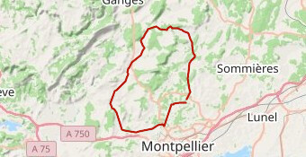 V.E.A.M : Bel Air-Montarnaud-Argeliers-Viols