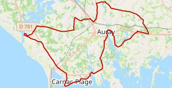 dimanche  petit 2025