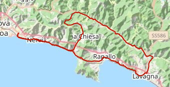 randolevante 2025 110km