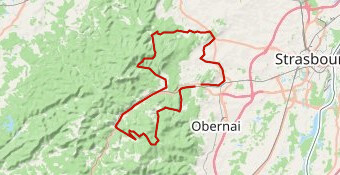 00BBR51 Vallées des Vosges centrales