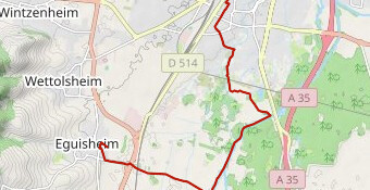 10KM COLMAR 2025