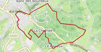 Jogging Verdi Mangombroux