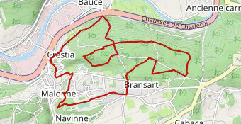 Cross Duathlon de Malonne 2025 VTT