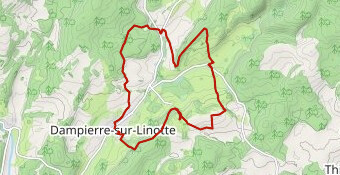 rando linotte 2025 long