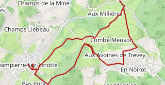 rando Linotte 2025 court