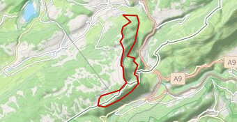 AMM JO7 tour moont d'or