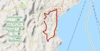 Ionias Half Marathon