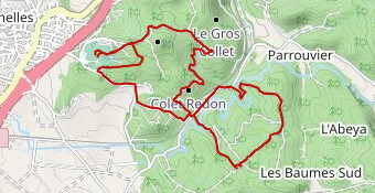 Foulee Venelloise  2025_ le  10 km-course nature