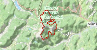 AMM vosges sentier des roches