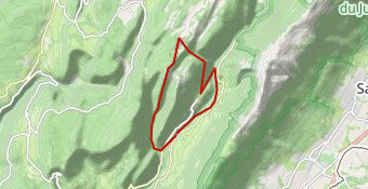 AMM04 cret de chalamme