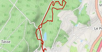 Trail Ecouves 2025 - 8 km version 2
