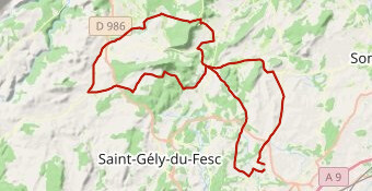 La Teyrannaise parcours court 2025