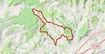 Trail des Moines 2025 - 30km