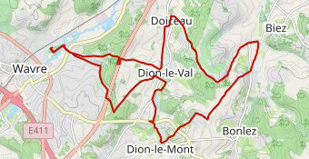 Wavre 2025 - 20 Km