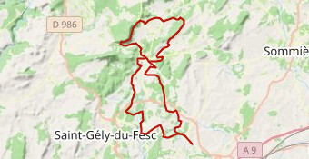 La Teyrannaise Gravel - VF