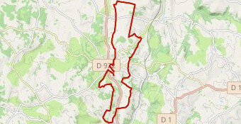 RANDO LION'S CLUB 2025