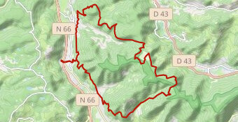 Dessus de 
rupt tourbière de la charme