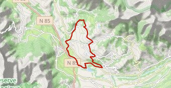 chazelets n 7-17711310