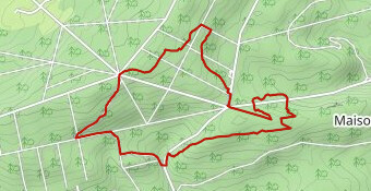 Chêne au Verdier 8.6 km