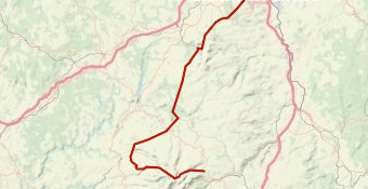 Belle Salers  (Ultra)-19369609