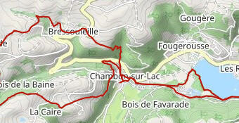 MONT DORE Chambon -sur-Lac (1)