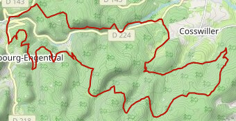 EB25 - Rando VTT 30km validée
