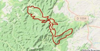EB25 - Challenge 90km