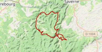 EB25 - Rando 60km VTT