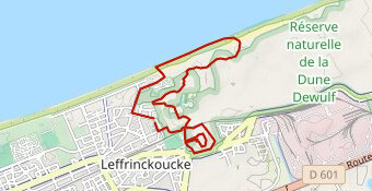 Officiel  course 6 km