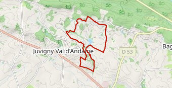 42- Juvigny