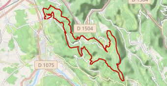 VTT -VAE les vauriens 2025 46 km