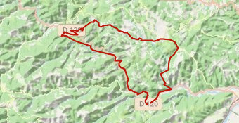 sortie 29 juillet2025