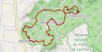 le mont blanc Sissi91