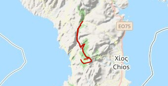 Amanitis Trail 43km 2026