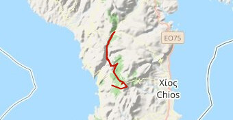 Amanitis Trail 40km 2026(T)