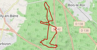 belle croix fontainebleau Bis Sissi91