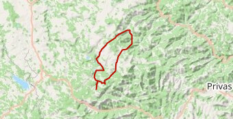 mazan chartreuse bonnefoi  st martial