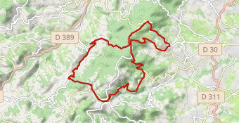 Sortie D+ autour de Yzeron