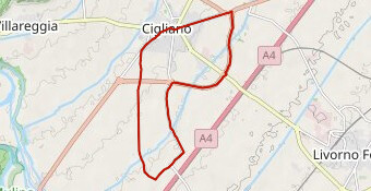 Gara 14 Settembre 2025 Cigliano