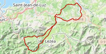 qu des bois / Luzinaga