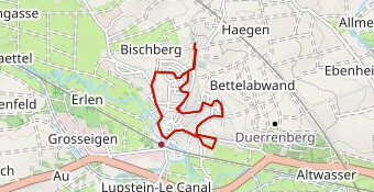 Vague Bleue 2025 officiel Orga