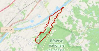 La_Royale_2025_20_Le_Lièvre