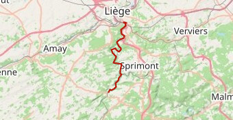 Marathon de l'Ourthe 42km - Coureurs