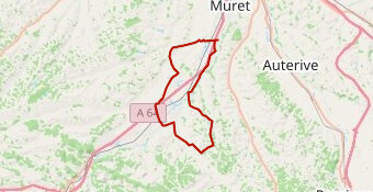 sortie interne 11.10.25 bleu